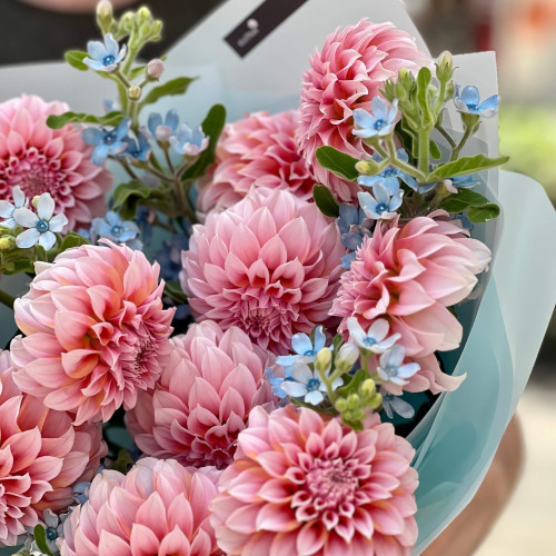 Букет з жоржинами та оксіпеталумом «Заморожені персики»