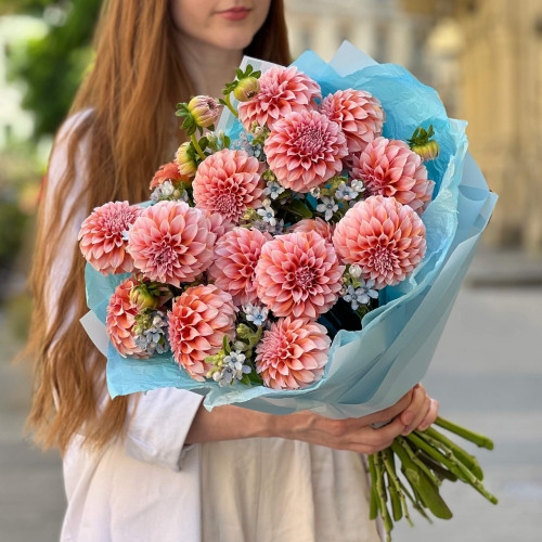 Delicate bouquet of Peaches and Cream dahlias and oxypetalum «Peach Praline»
