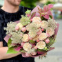 5 branches of spray peony roses in a bouquet «Strawberry macaron»