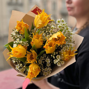 Стильний букет із французьких тюльпанів та квітучого хамелаціуму «Початок весни»