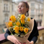 Стильний букет із французьких тюльпанів та квітучого хамелаціуму «Початок весни»