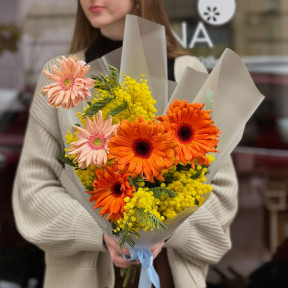 Bright duo bouquet of mimosa and Pasta gerberas «Italian greeting»