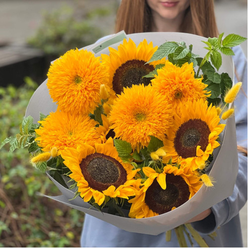 Мікс із 9 соняшників «Сузір'я Кассіопея»