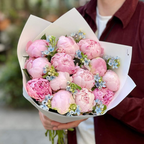 Delicate bouquet of peonies and oxypetalum «Morning Stars»