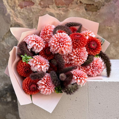 Цікавий букет з жоржин та сетарії «Палкий Серпень»