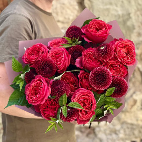 Червоний букет з жоржинами «Пристрасна симфонія»