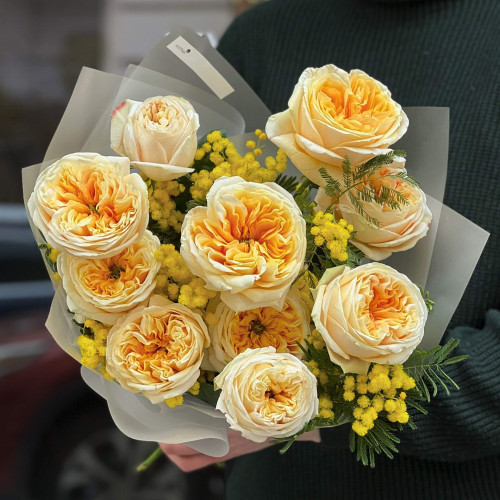 Сонячний букет із італійської мімози та кремової піоновидної троянди «Солодкий привіт»