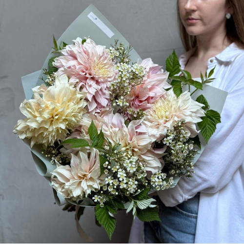 Пушистый букет из далий Cafe Au Lait и хамелациума «Августовское приветствие»