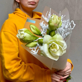 3 амариллиса в букете «Заснеженный цветочек»