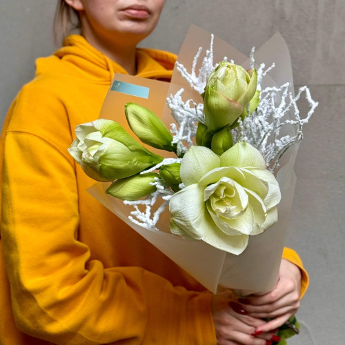 3 амариллиса в букете «Заснеженный цветочек»