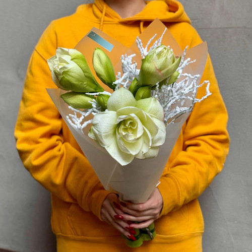 3 амариллиса в букете «Заснеженный цветочек»