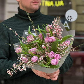 Bouquet of peony rulips and pink genista «Spring compliment»