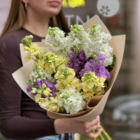 13 ароматних матіол у букеті «Солодкі пахощі»