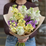 13 ароматних матіол у букеті «Солодкі пахощі»