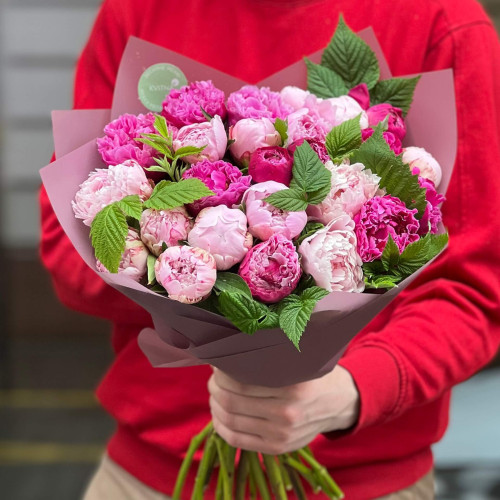 Mix of 25 fragrant peonies «Candied Raspberry»