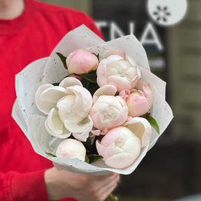 7 нежнейших пионов сорта Gardenia в букете «Перламутровое прикосновение»