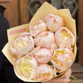 9 кремових півоній сорту Petticoat Flounce у букеті «Медовий дотик»