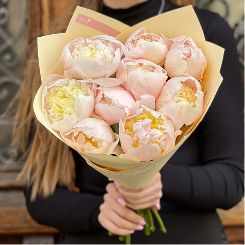 9 кремових півоній сорту Petticoat Flounce у букеті «Медовий дотик»