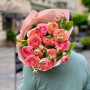 15 farm ranunculus «Thousand Petals»