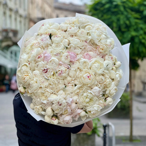 Ніжний мікс зі 121 півонії сортів Petticoat Flounce і Fairy's Petticoat у букеті «Чиста любов»