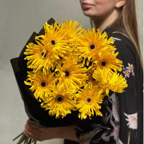 15 сонячних гербер Pasta Solomio у букеті «Італійське літо»