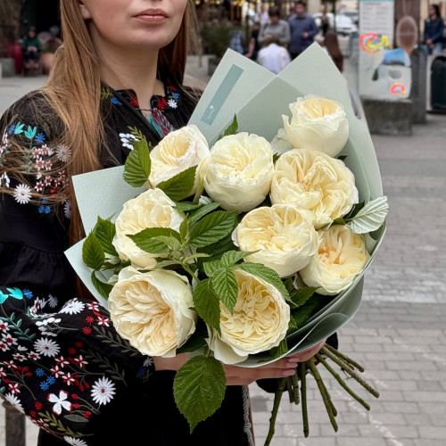 9 ніжних півонієвидних троянд Aurora Gardens у букеті «Ранкова хмаринка»