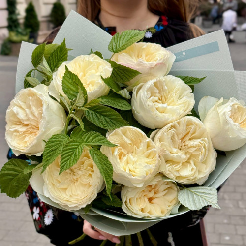 9 ніжних півонієвидних троянд Aurora Gardens у букеті «Ранкова хмаринка»