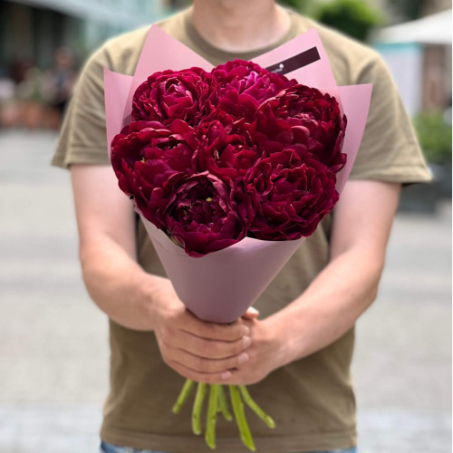 7 бордових півоній Old Faithful у букеті «Смак черешні»
