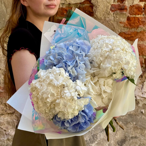5 гортензій у букеті «Хмаринки в небі»