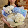5 гортензій у букеті «Хмаринки в небі»