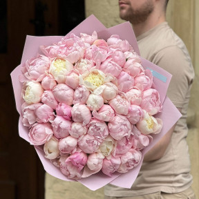 Чарівний букет із 51 півонії сорту Petticoat Flounce «Зефірні пелюстки»