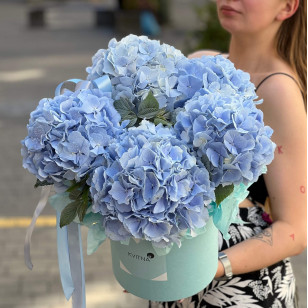 5 голубых гортензий Verena Blue в коробке «Небесная лёгкость»