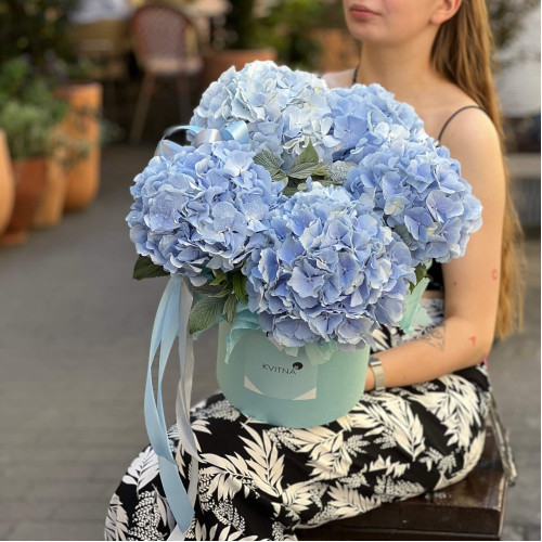 5 блакитних гортензій Verena Blue в коробці «Небесна легкість»