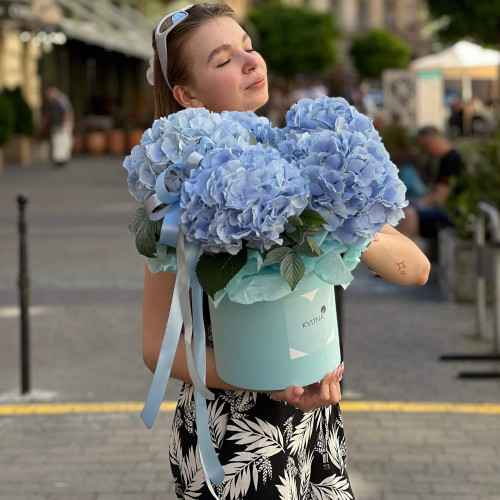 5 блакитних гортензій Verena Blue в коробці «Небесна легкість»