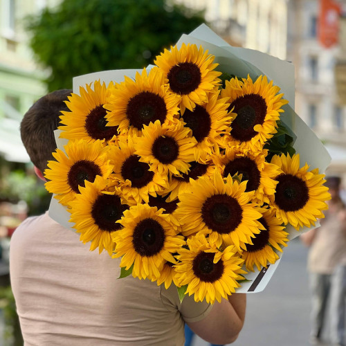 21 соняшник сорту Sunrich у букеті «Польова посмішка»