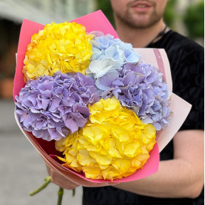 Яскравий мікс із 5 гортензій «Соковиті фрукти»