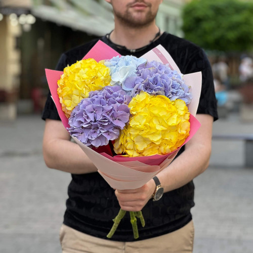 Яскравий мікс із 5 гортензій «Соковиті фрукти»
