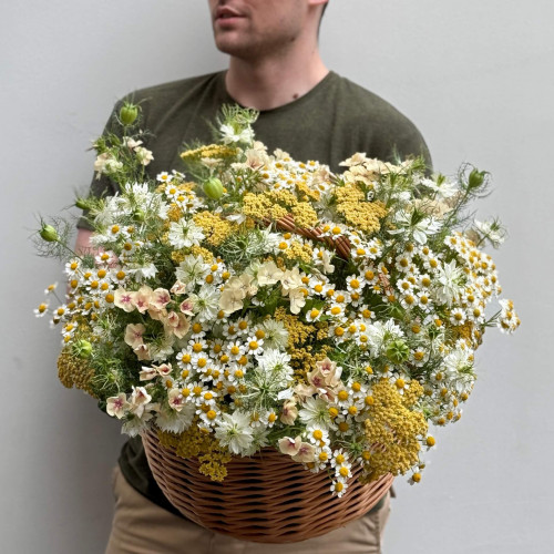 Розкішний польовий кошик «Сонячний Прованс»