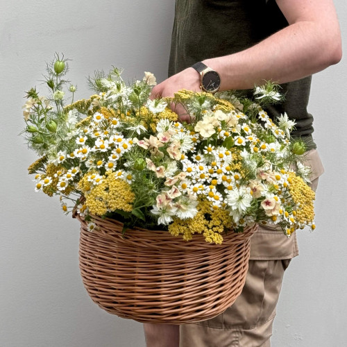 Розкішний польовий кошик «Сонячний Прованс»