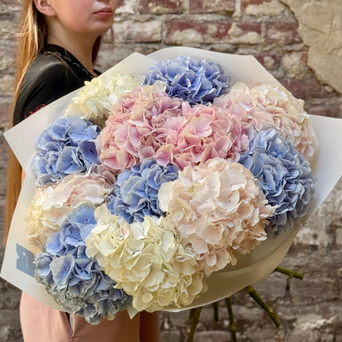 13 luxurious hydrangeas in a bouquet «Exquisite Delight»