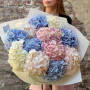 13 luxurious hydrangeas in a bouquet «Exquisite Delight»