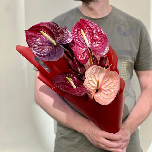 5 розкішних антуріумів з леукадендроном у букеті «Мелодія сальси»