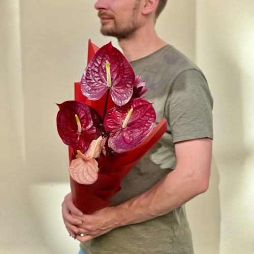 5 розкішних антуріумів з леукадендроном у букеті «Мелодія сальси»