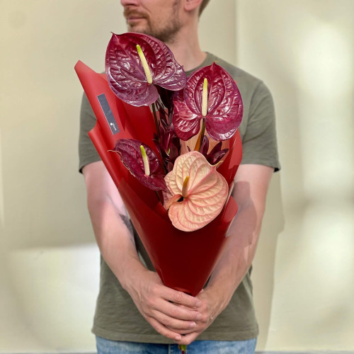 5 розкішних антуріумів з леукадендроном у букеті «Мелодія сальси»