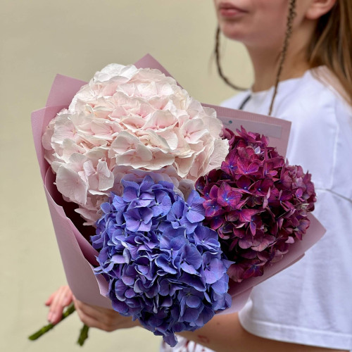 3 гортензии в букете «Виноградный мармелад»