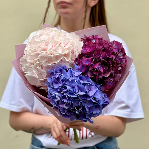 3 гортензии в букете «Виноградный мармелад»