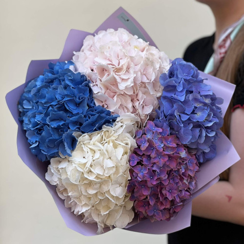 5 гортензій у букеті «Атлантичні перлини»