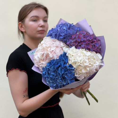 5 гортензій у букеті «Атлантичні перлини»