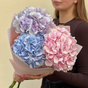 Three delicate hydrangeas in a bouquet «Pastel Hues»