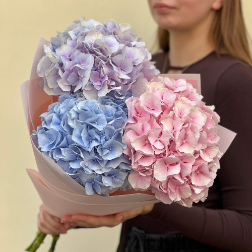 3 нежные гортензии в букете «Пастельные краски»